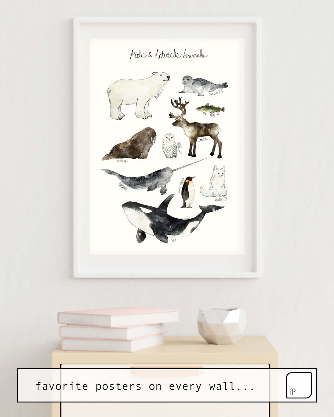 Poster | ARCTIC & ANTARCTIC ANIMALS by Amy Hamilton