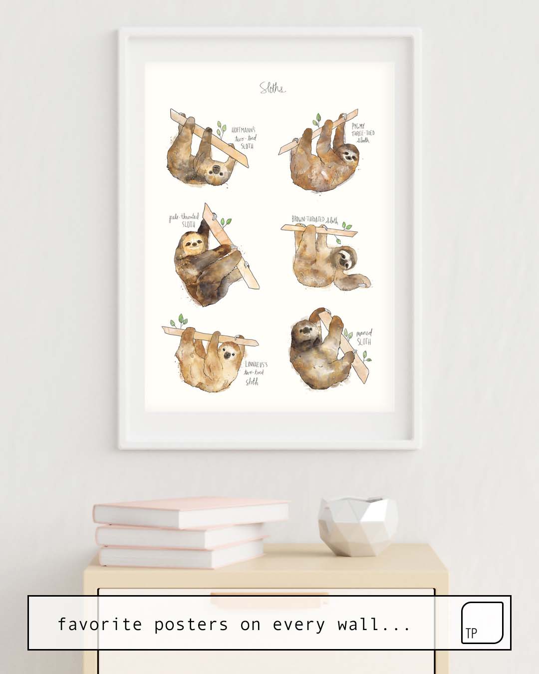 Poster | SLOTHS by Amy Hamilton