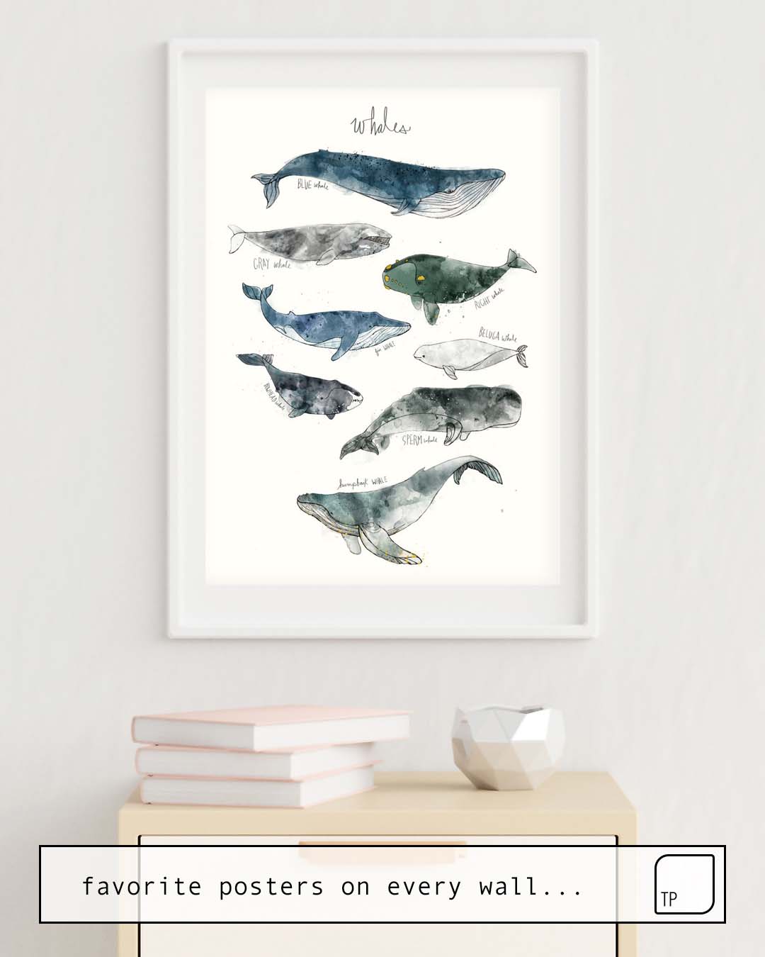 Poster | WHALES by Amy Hamilton