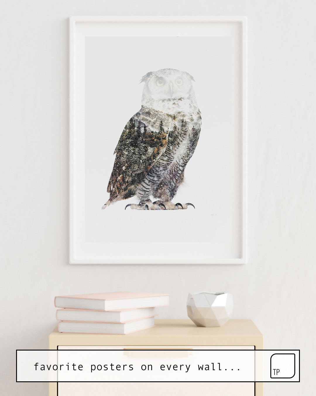 Poster | ARCTIC OWL von Andreas Lie
