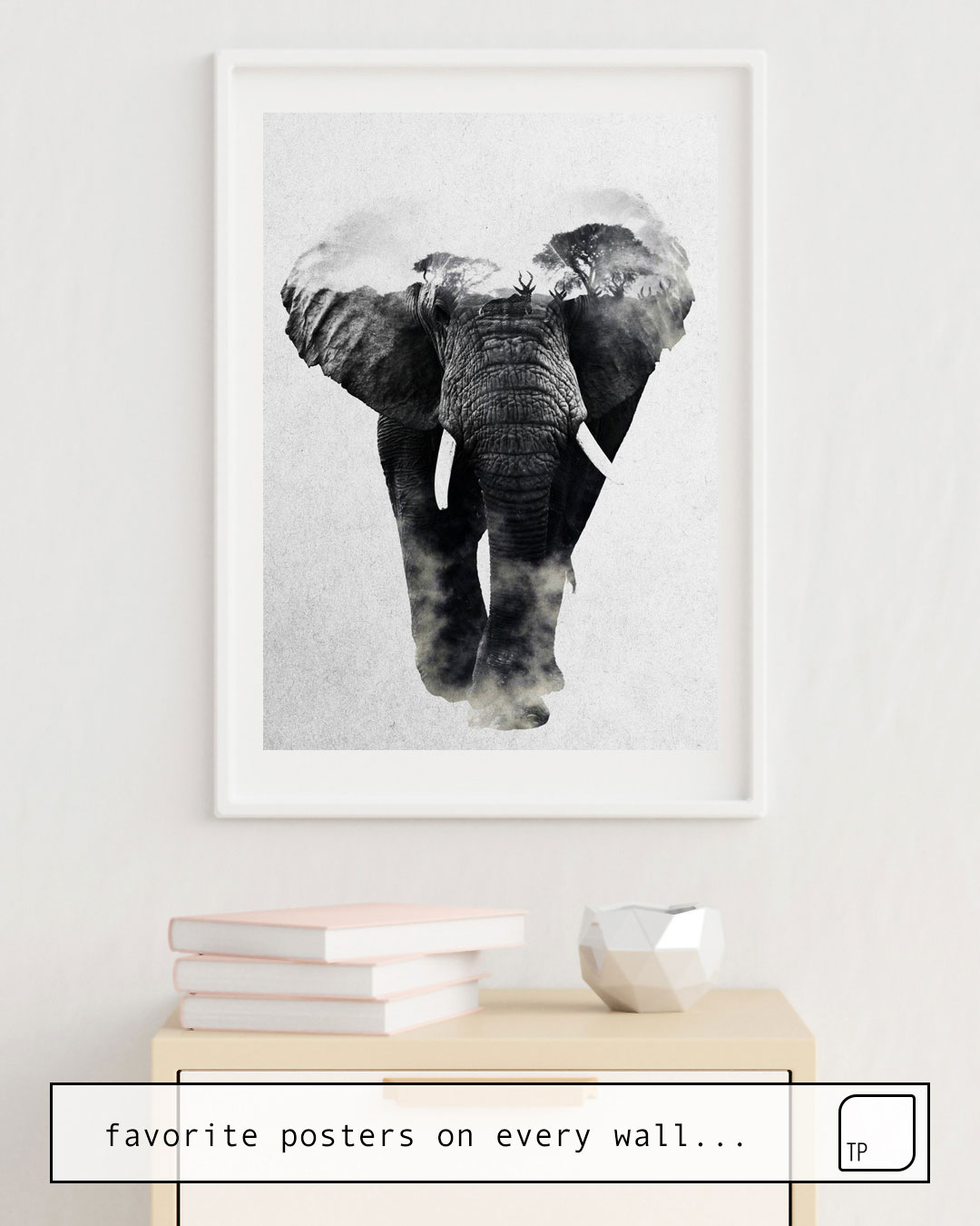 Poster | ELEPHANT von Andreas Lie