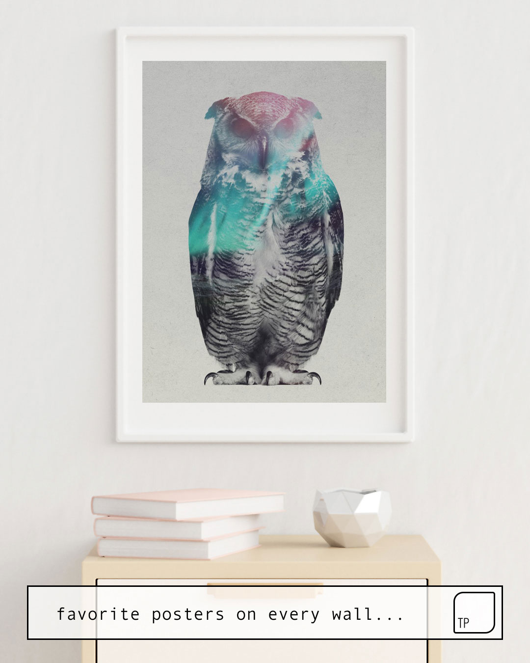 Poster | OWL IN THE AURORA BOREALIS by Andreas Lie