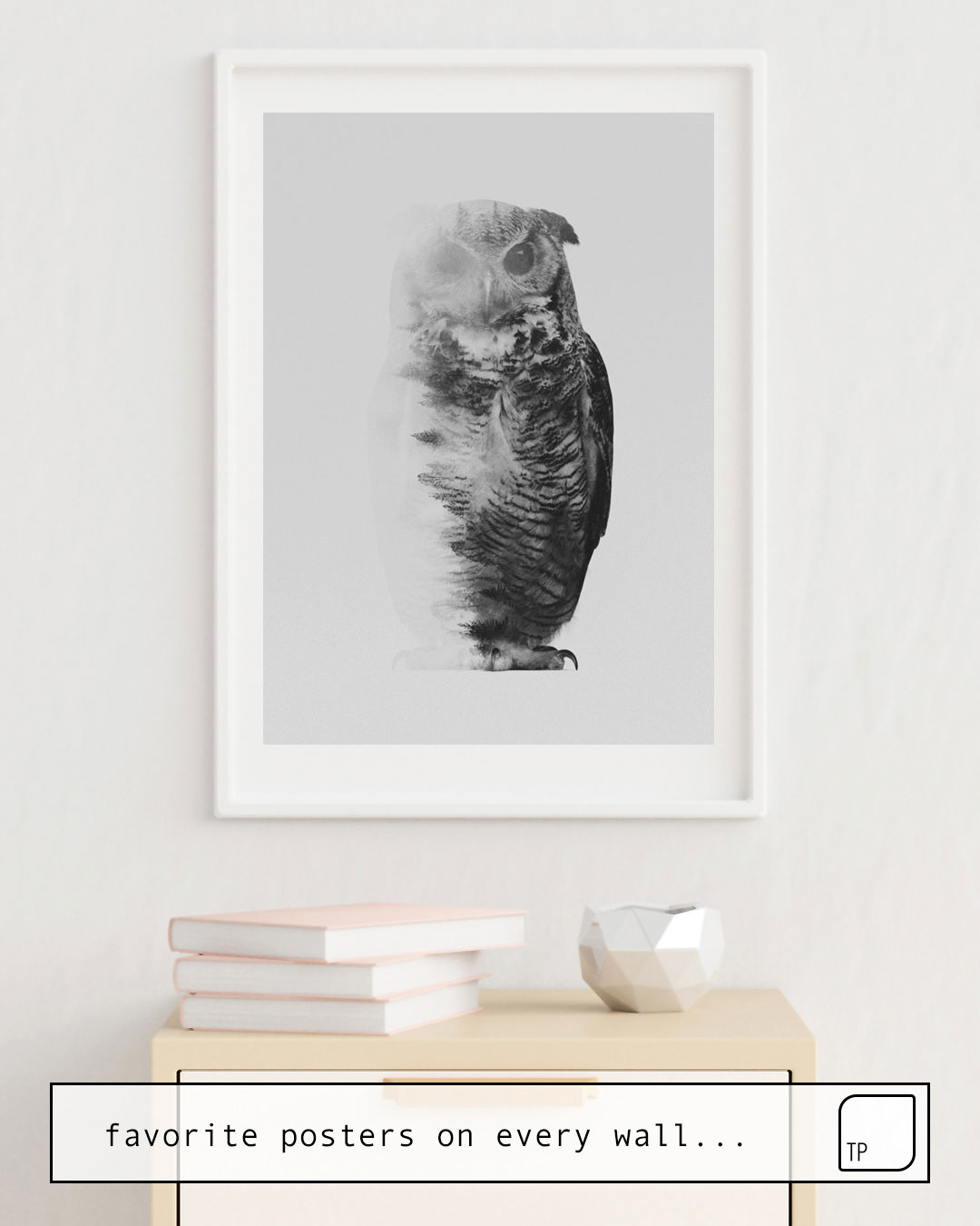 Cartel | THE OWL (BLACK AND WHITE) de Andreas Lie