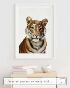 Poster | TIGER by Andreas Lie | TOPPOSTER